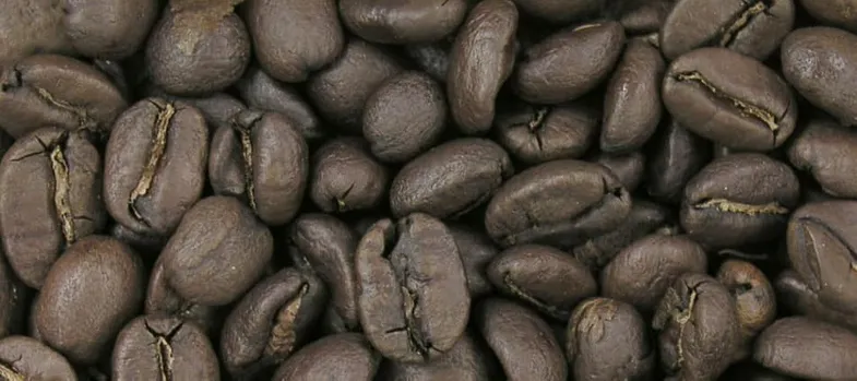 Granos de café de tueste medio oscuro