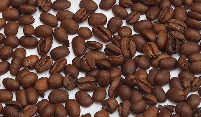 Diferentes tipos de granos de café: Arábica, Robusta y Liberica 