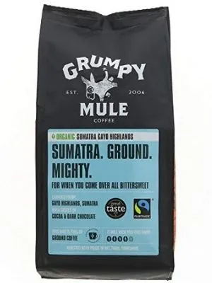 grumpy-mule-sumatra