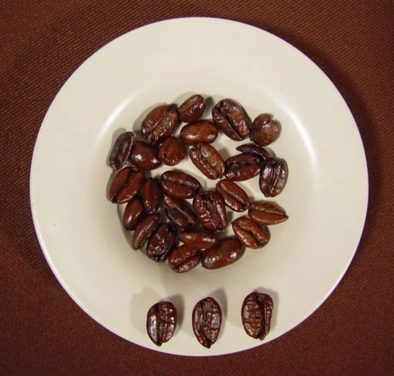 Granos de café liberica