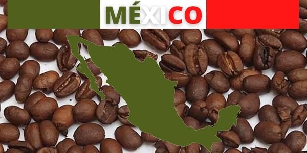 ¿Cuál es el mejor Café mexicano?